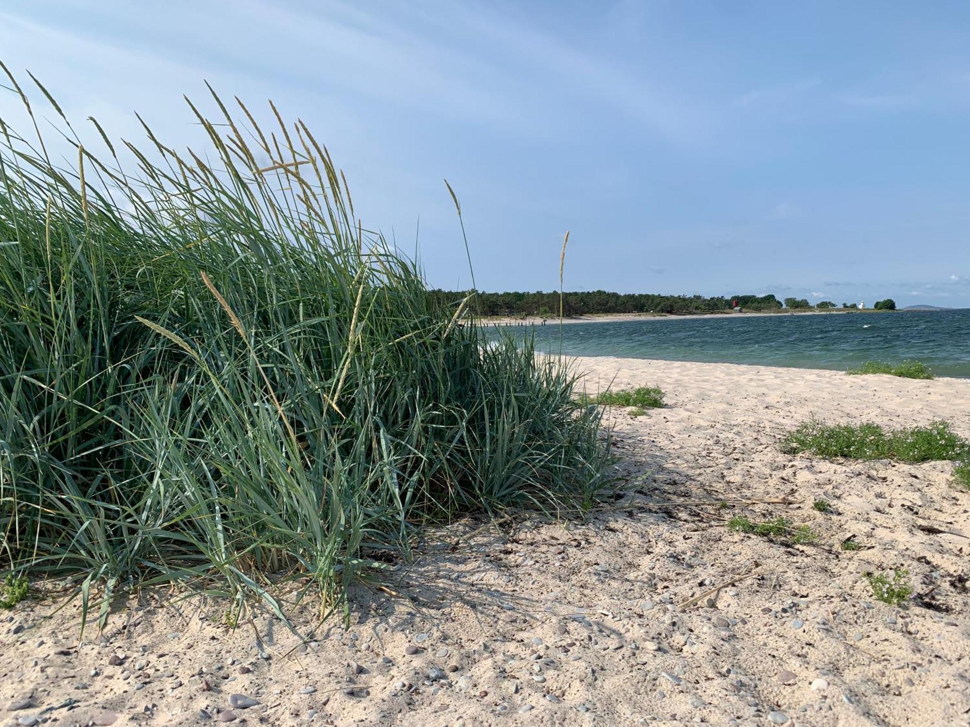 Strandlaegenhet Byxelkrok, Oeland Exterior photo